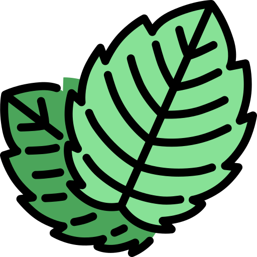 MINT logo